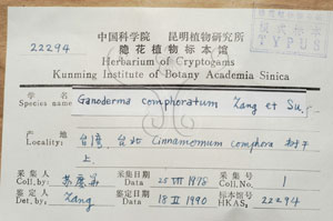 * 圖說：6.牛樟芝模式標本(<i>Ganoderma comphoratum</i>)之標本標籤。* 作者：吳聲華