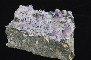 * 圖說：紫水晶因二價鐵離子分佈不均導致紫色的濃淡不一。* 作者：洪誌楀拍攝* 智財權：國立自然科學博物館