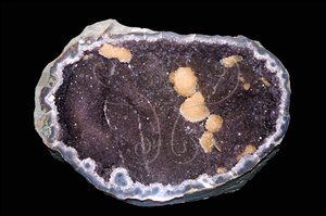 * 圖說：圖2.紫水晶晶洞，晶洞內伴生淡黃色礦物為方解石。* 作者：洪誌楀拍攝* 智財權：國立自然科學博物館