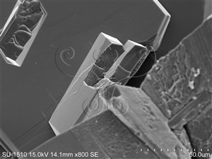 * 圖說：在電子顯微鏡下霰石的微小晶體（拍攝倍率800倍）* 作者：胡少康拍攝* 智財權：國立自然科學博物館