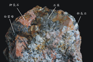 * 圖說：
				採自金門的偉晶花崗岩具有較大的礦物晶體，石英、鉀長石、斜長石、白雲母為其主要組成。