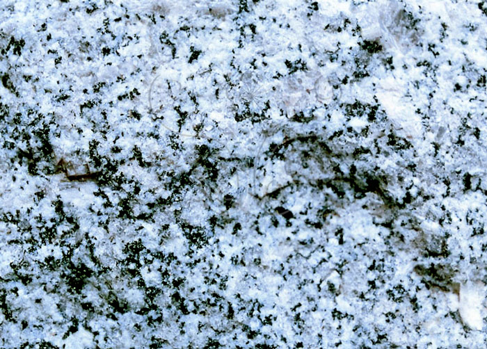 * 圖說：
				圖3.花崗岩──東部片麻岩體中，局部出露淡灰至灰白色，中至粗粒，片理不顯著。一般而言，大部分呈現均勻礦物分布之外觀，與花崗岩極相似。