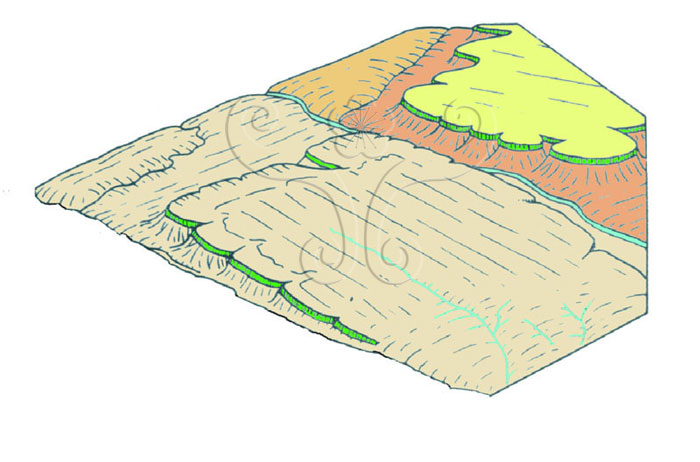 * 圖說：
				圖4.玄武岩熔岩所構成之方山地貌示意圖