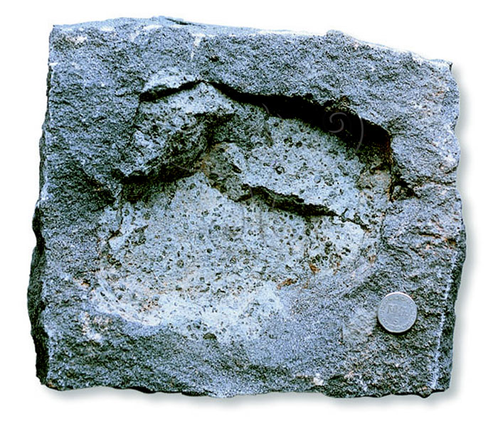 * 圖說：
				圖5.觀音山第二層斑晶稀疏的兩輝安山岩常含第一層具有球狀斑晶結構之輝石安山岩捕獲岩。