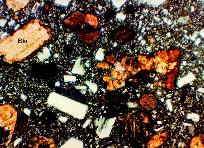 * 圖說：
				圖32.小蘭嶼黑雲母角閃安山岩。斑晶為斜長石、黑雲母(Bio)、輝石、紫蘇輝石及磁鐵礦構成，富含玄武質角閃石，顯示其為地表或近地表之熔岩流。