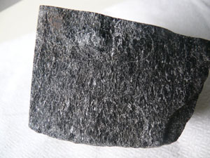 * 圖說：
				圖1.角閃岩，產地：金門田浦，標本編號：NMNS000595-P002698。