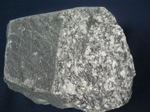 * 圖說：
				圖2.角閃岩/混合岩，產地：金門田浦，標本編號：NMNS00853-P003068。