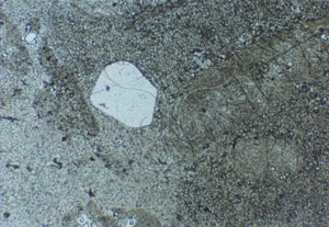 * 圖說：
				圖2.長英斑岩或流紋斑岩偏光顯微鏡照片。Q石英，Pl斜長石。