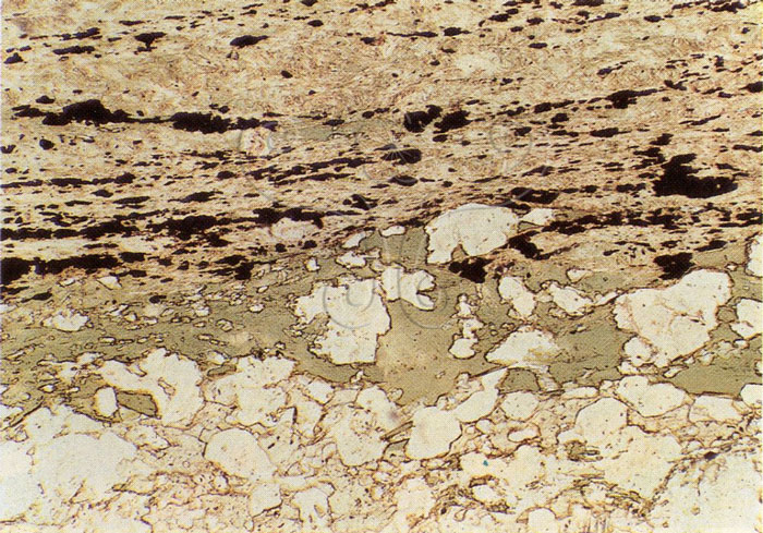 * 圖說：
				圖3. 7+380  絹雲母－方解石－綠泥石－石英片岩(雲母片岩)；變質砂頁岩互層，綠泥石－石英－方解石與絹雲母互層。