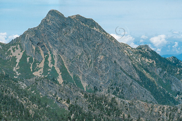 * 圖說：
				圖1. 玉山東峰南岩壁褶皺構造清晰可見
