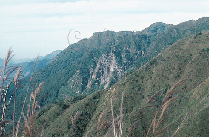 * 圖說：
				圖6. 塔塔加鞍部為西部麓山帶南莊層與玉山地塊十八重溪層之分野，以大斷層相隔。