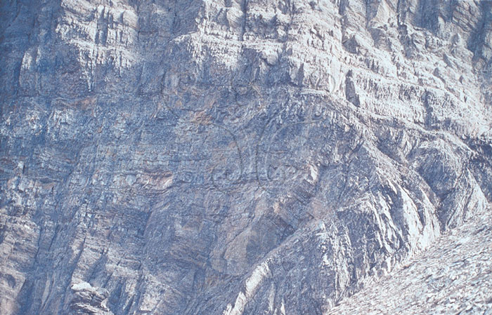 * 圖說：
				圖11. 玉山風口碎石坡以板岩變質砂岩構成，因處造山帶強烈擠壓而成褶皺構造。
