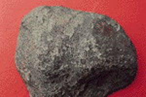* 圖說：
				圖5. 石質隕石(球粒隕石)之拋光切面與本體外貌