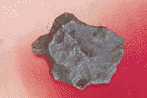 * 圖說：
				圖7. 鐵質隕石