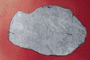 * 圖說：
				圖8. 具交紋圖像之鐵質隕石