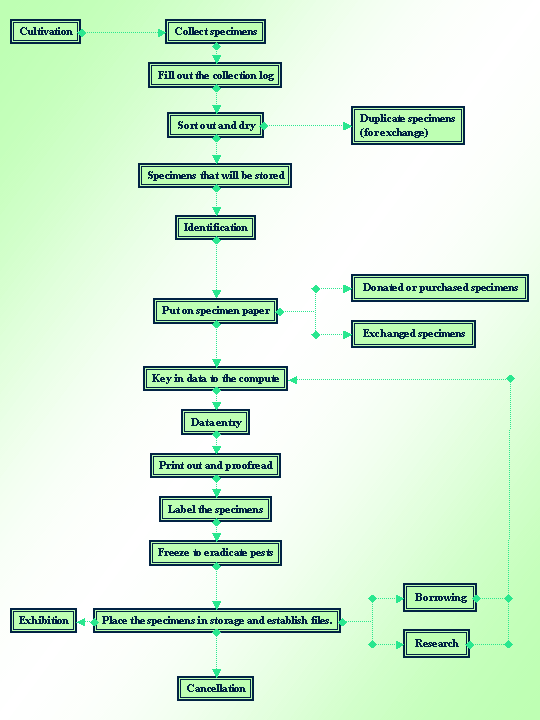 Procedure of Specimen Treatment