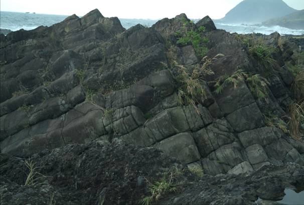 圖3.石門海蝕洞之柱狀節理構造，都巒山層集塊岩地層中夾具柱狀節理之安山岩外來岩塊