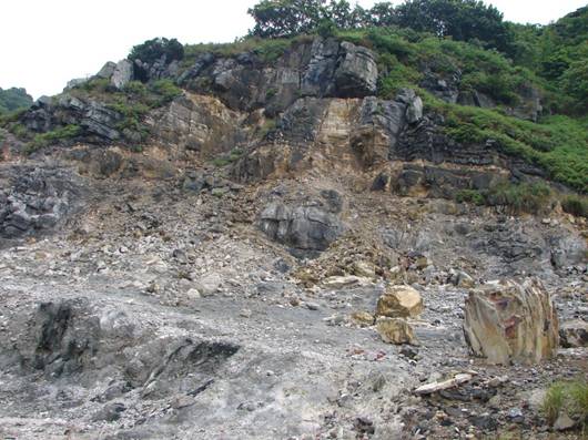圖6.台北市紗帽山行義路硫磺谷爆裂口四週岩石為五指山層白色石英砂岩。