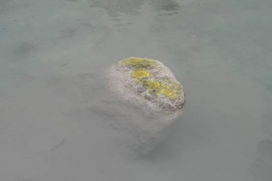 圖3. 地熱谷水塘高溫強酸性溫泉熱水腐蝕白化安山岩，岩石表面黃色硫黃與黃鉀鐵礬附著沈澱。