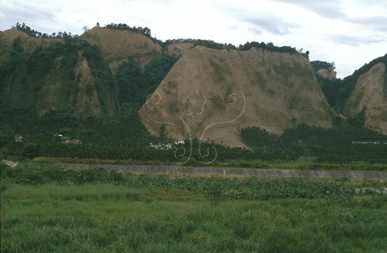 圖7. 烏溪雙冬墓碑山在921地震岩屑崩落造成災害，裸露礫岩一片光禿。