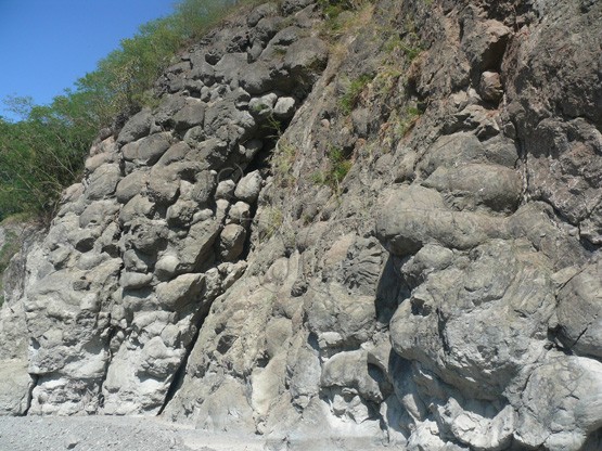 圖28. 寶來細碧岩（熱水蝕變基性岩）具枕狀熔岩構造。