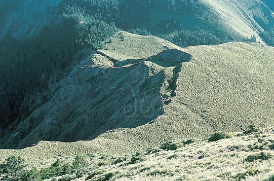 圖6.台灣中部大雪山箭竹林山坡多圓弧型滑動面崩移之邊坡滑動，常造成圓弧形階梯狀地貌。