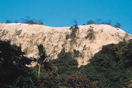圖10.頭嵙山礫岩地層山峰，植被在大地震中嚴重剝落都禿了頂。