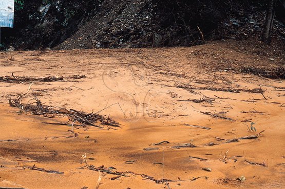 圖2.埔里蜈蚣里沙質之土流（土石流）