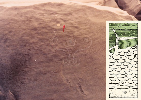 圖7.濁流砂岩塊中之水逸流造成碟狀構造及其示意圖（右）