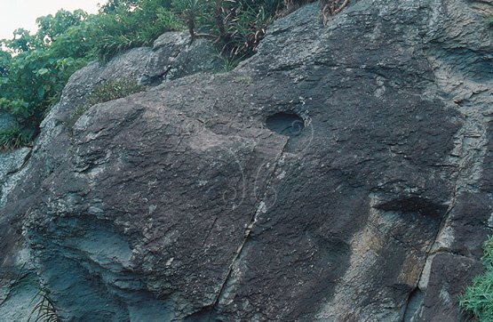 圖14.宜蘭縣頭城鎮外澳里北關風景區硬頁岩崖壁上的壺穴 