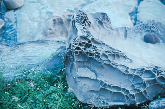圖1.恆春佳樂水蜂窩岩或稱石網、石格子構造。