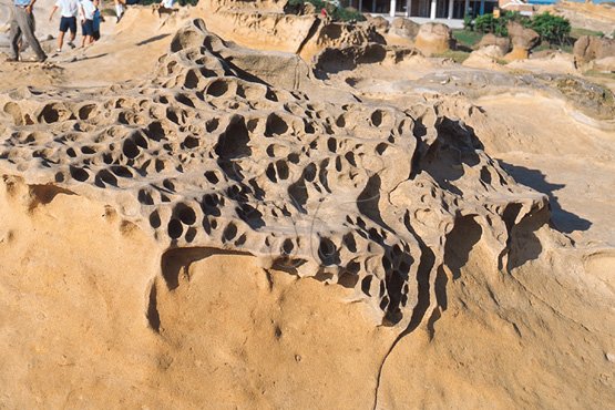 圖8.野柳鈣質砂岩結核之蜂窩岩構造
