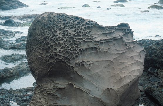 圖14.台灣東海岸石門風景區安山岩之蜂窩岩