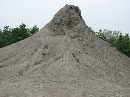 圖1.烏山頂錐狀泥火山，泥漿黏稠度高，夾雜粗顆粒屑碎物，常形成數公尺高的錐狀丘。