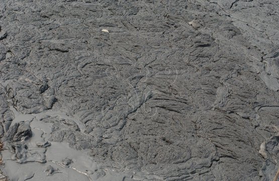 圖29.萬丹鯉魚山泥火山爆發後，聖皇殿四周泥流漫流形成看似繩狀熔岩之外貌。