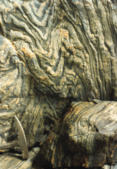 圖5.脆性硬質砂岩與塑性軟泥質互層所成之片岩褶皺構造