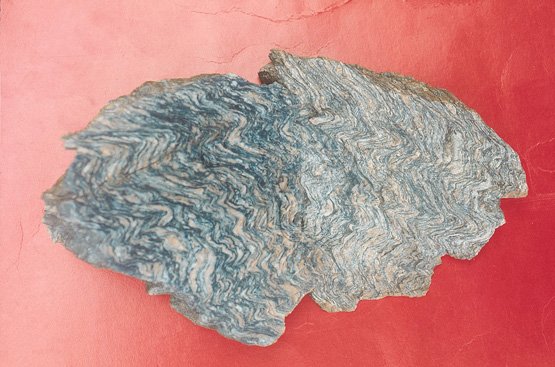 圖7.花崗片麻岩之褶皺構造