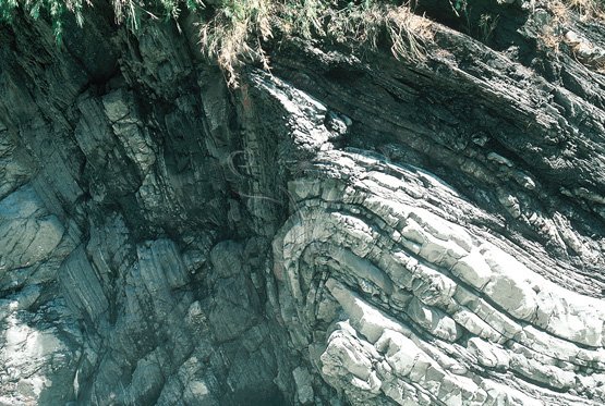 圖9.苗栗虎山溫泉汶水溪上游厚層砂岩中背斜構造