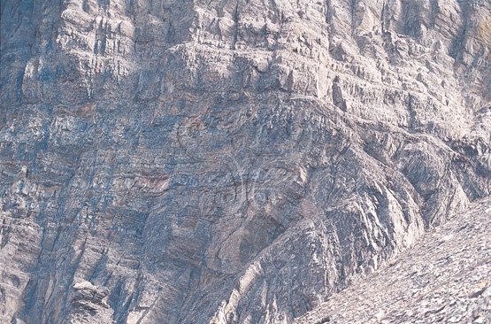 圖10.玉山風口以板岩、變質砂岩所構成，因位處造山帶強烈擠壓而成褶皺構造。