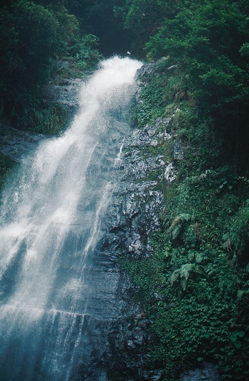 圖1.宜蘭縣礁溪五峰旗瀑布全長一百餘公尺，共分三層，此為中層（第二層）瀑布，水由崖壁傾瀉而出，長約30公尺。