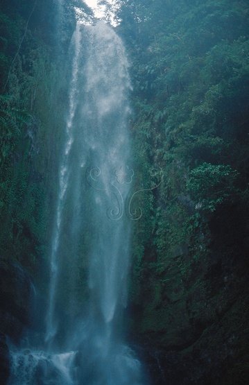 圖2.五峰旗瀑布之最上層（第一層）瀑布長約50公尺。